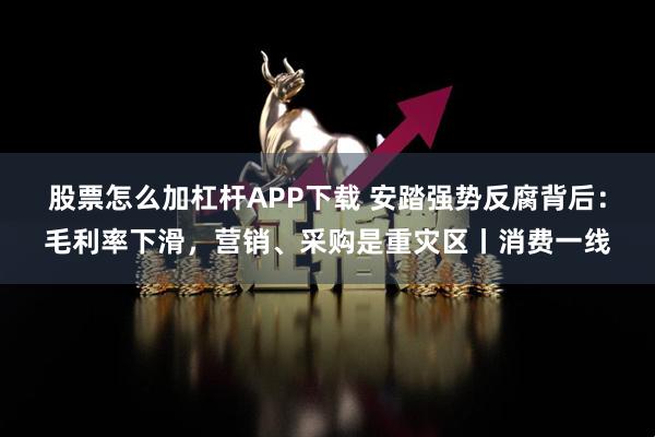 股票怎么加杠杆APP下载 安踏强势反腐背后：毛利率下滑，营销、采购是重灾区丨消费一线