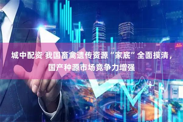 城中配资 我国畜禽遗传资源“家底”全面摸清，国产种源市场竞争力增强