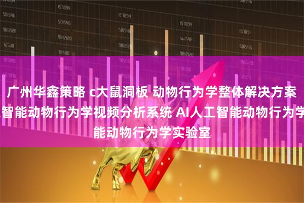 广州华鑫策略 c大鼠洞板 动物行为学整体解决方案 AI人工智能动物行为学视频分析系统 AI人工智能动物行为学实验室