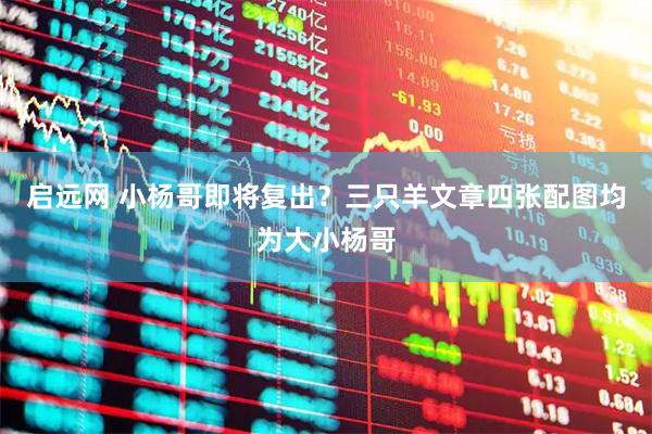 启远网 小杨哥即将复出？三只羊文章四张配图均为大小杨哥